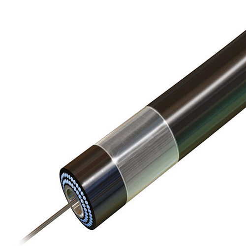 Изображение ЛАЗЕРНЫЙ КАТЕТЕР ELCA ДЛЯ КОРОНАРНЫХ АРТЕРИЙ