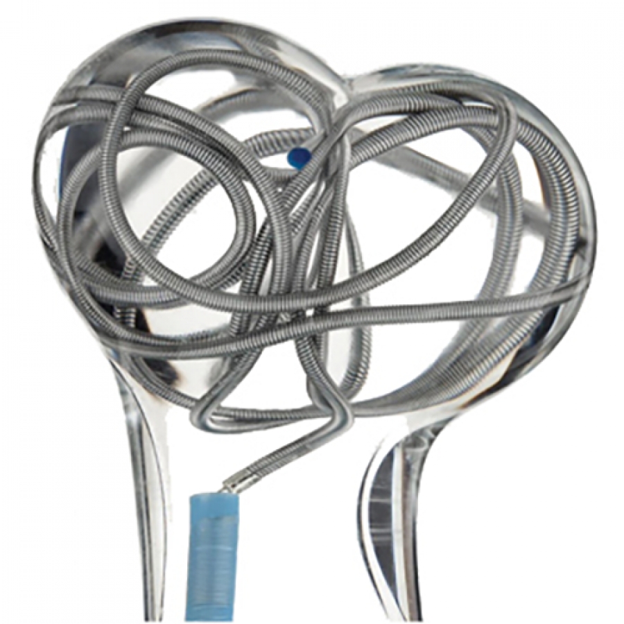 Изображение СПИРАЛЬ ОТДЕЛЯЕМАЯ ИНТРАКРАНИАЛЬНАЯ ORBIT GALAXY G2