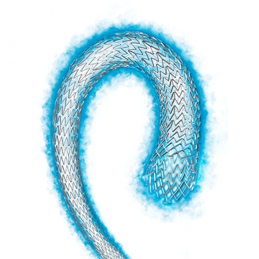 Изображение СТЕНТ С ЛЕКАРСТВЕННЫМ ПОКРЫТИЕМ ELUVIA