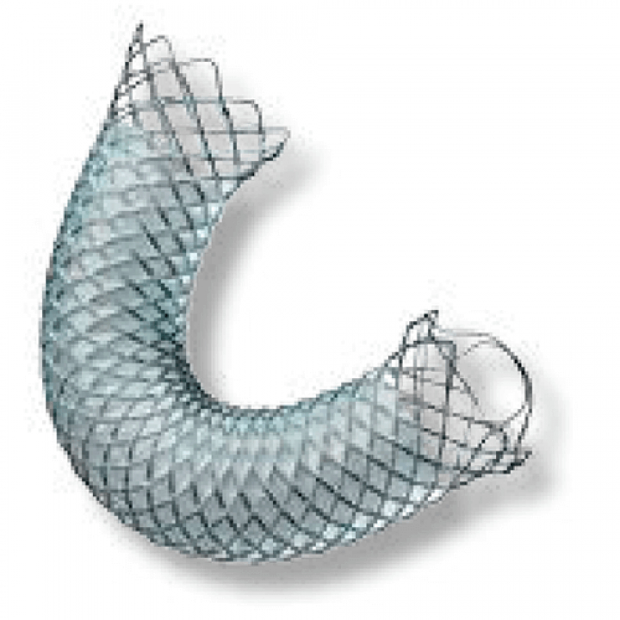 Изображение БИЛИАРНЫЙ СТЕНТ WALLFLEX