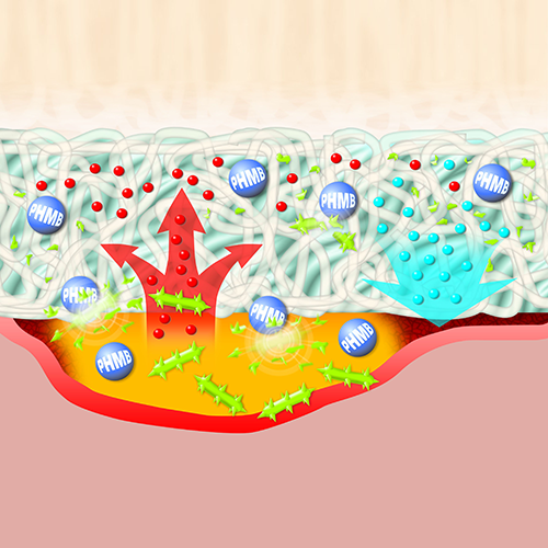 Изображение СУПРАСОРБ X+PHMB (SUPRASORB X+PHMB) ГИДРОБАЛАНС С АНТИБАКТЕРИАЛЬНЫМ ЭФФЕКТОМ